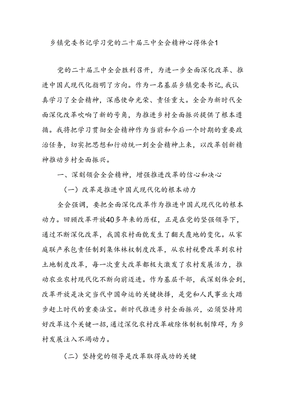 乡镇党委书记领导干部学习党的二十届三中全会公报精神心得体会研讨发言2篇.docx_第2页