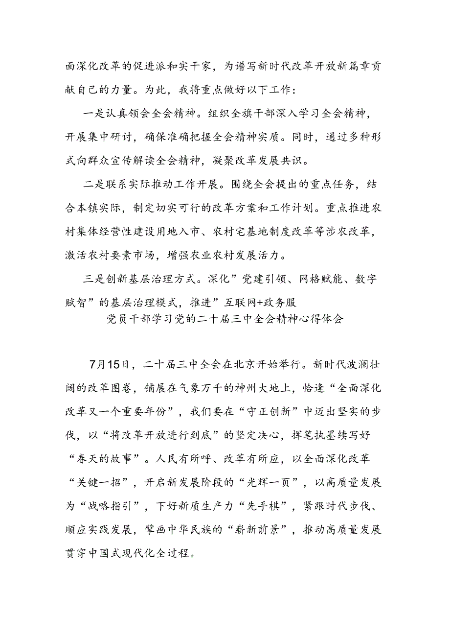 乡镇领导学习贯彻二十届三中全会精神的研讨发言（5篇）.docx_第3页