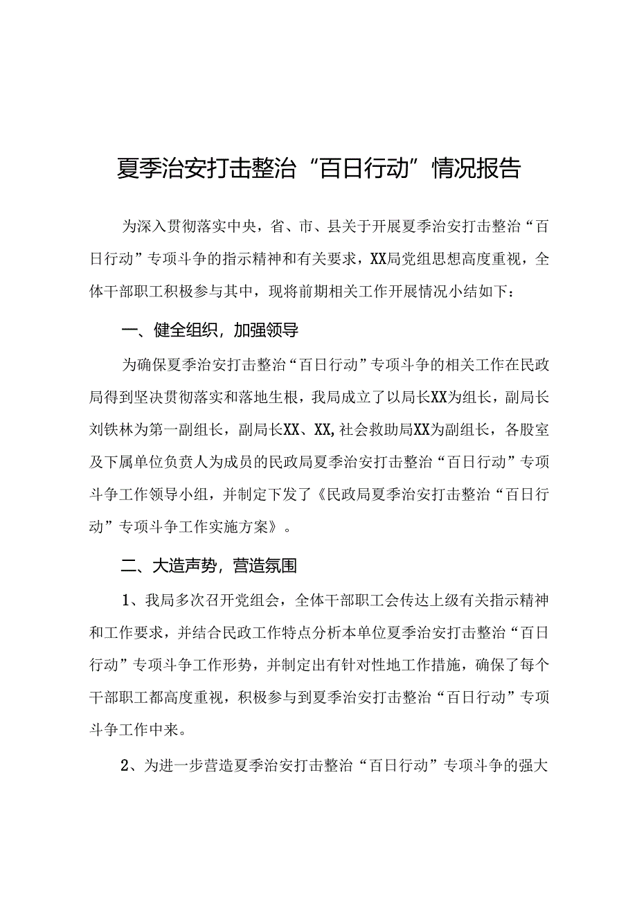 2024年夏季治安打击整治行动总结汇报16篇.docx_第1页