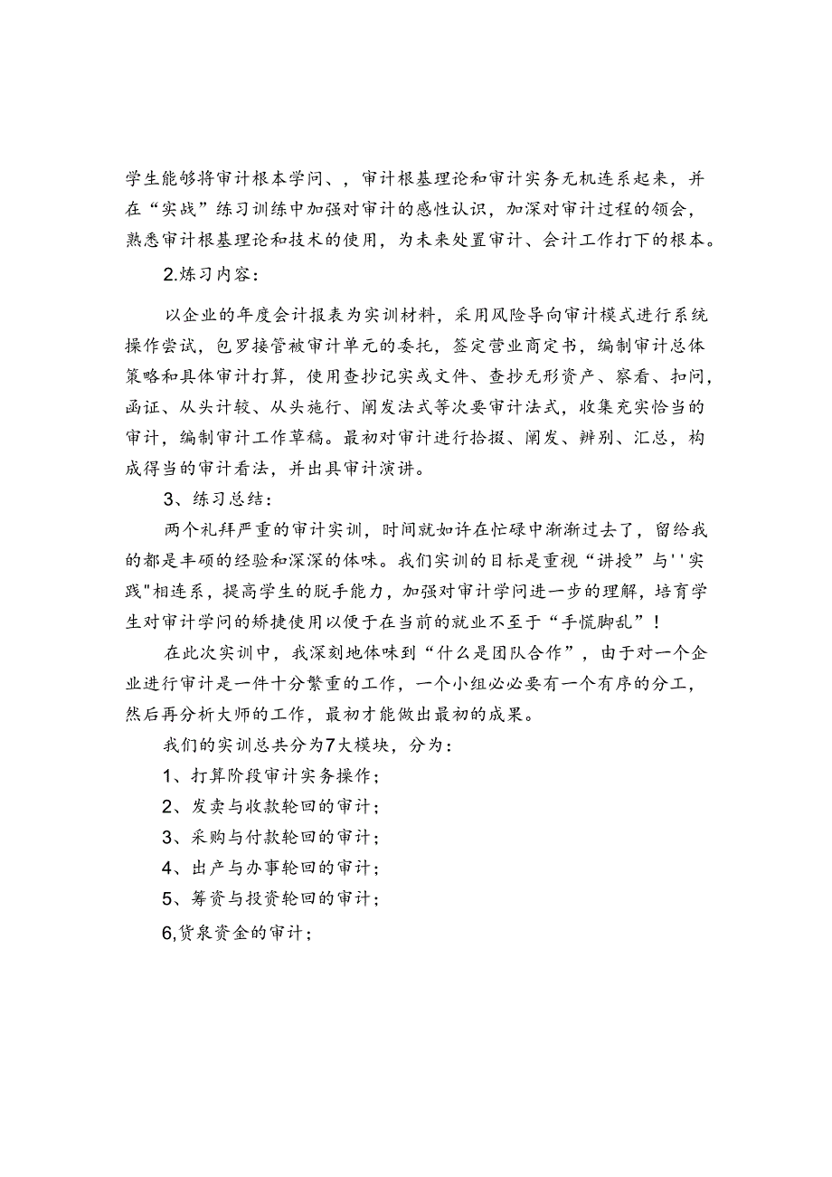 经济责任审计报告.docx_第2页