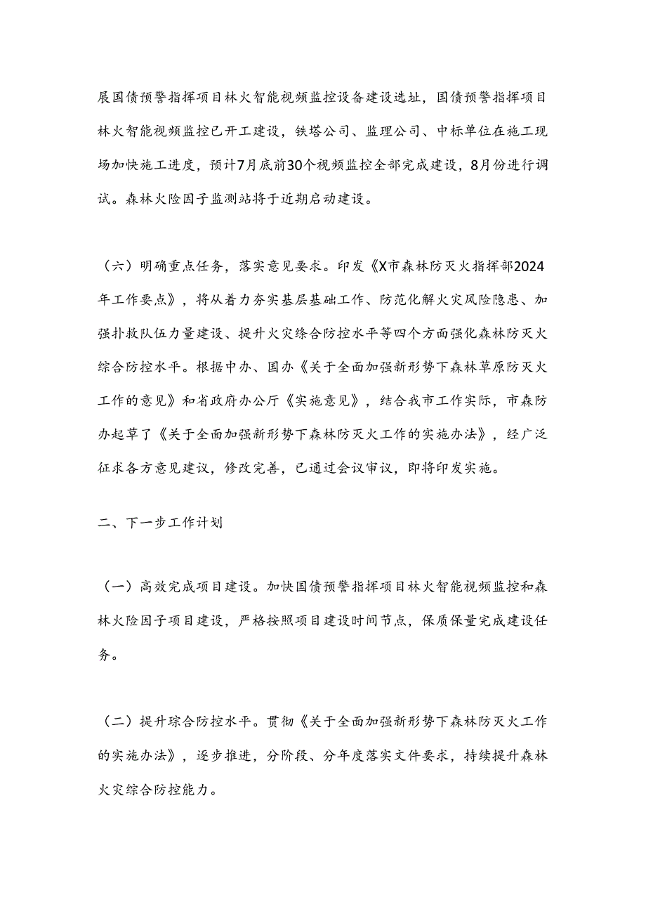 X市2024年上半年森林防灭火工作落实情况.docx_第3页