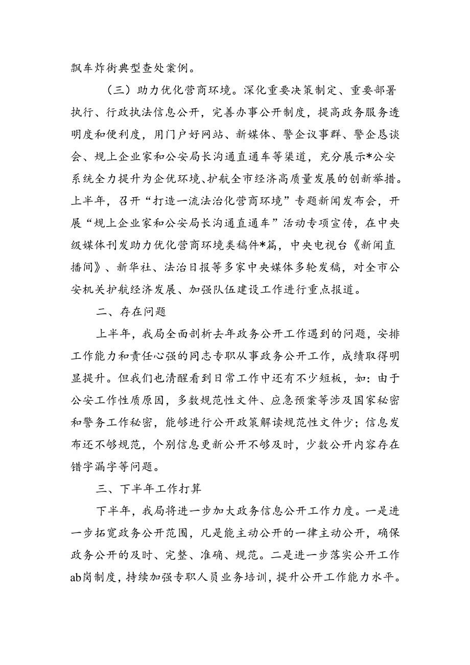 公安上半年政务公开工作总结.docx_第3页