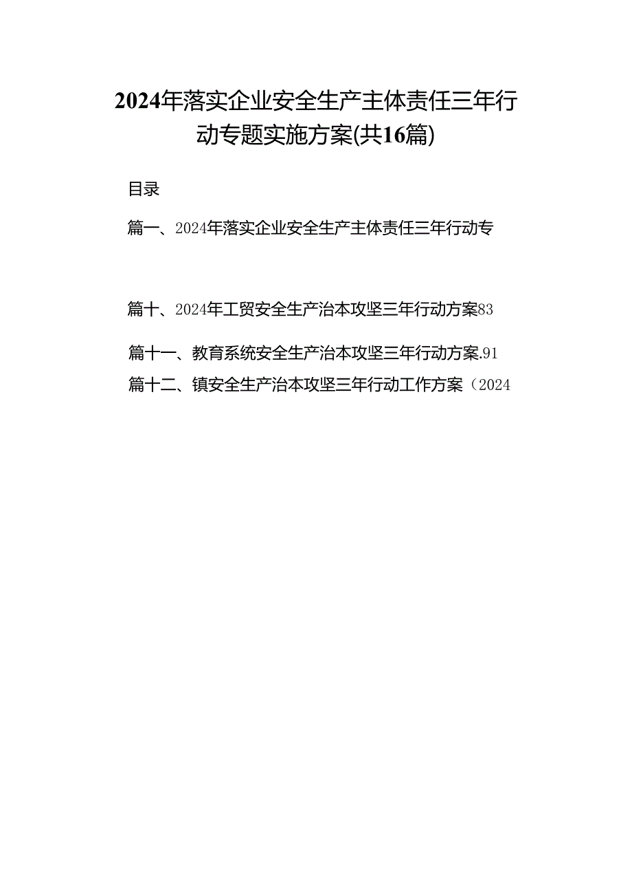 2024年落实企业安全生产主体责任三年行动专题实施方案 （汇编16份）.docx_第1页