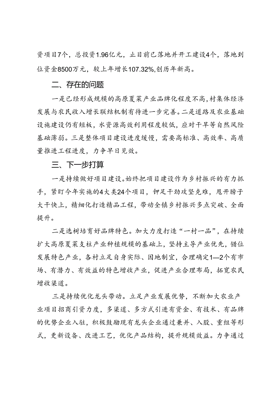 在县委农村工作领导小组（县实施乡村振兴战略领导小组）暨全县帮扶工作领导小组2024年第三次（扩大）会议上的发言.docx_第3页