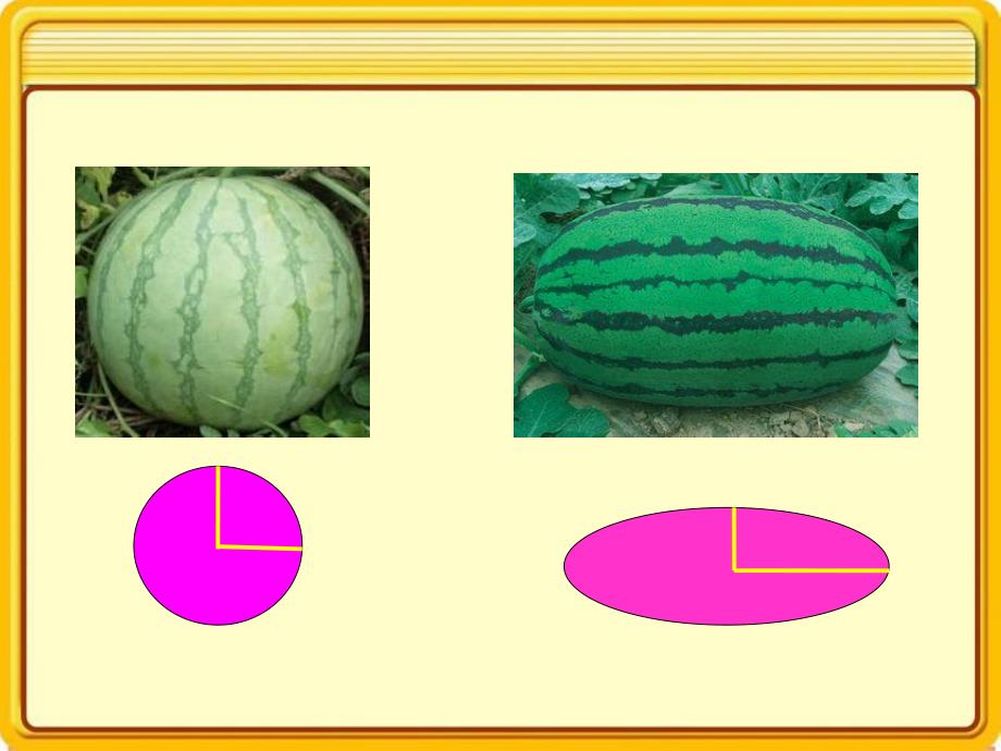 中班科学《圆圆的西瓜》PPT课件PPT课件.pptx_第3页