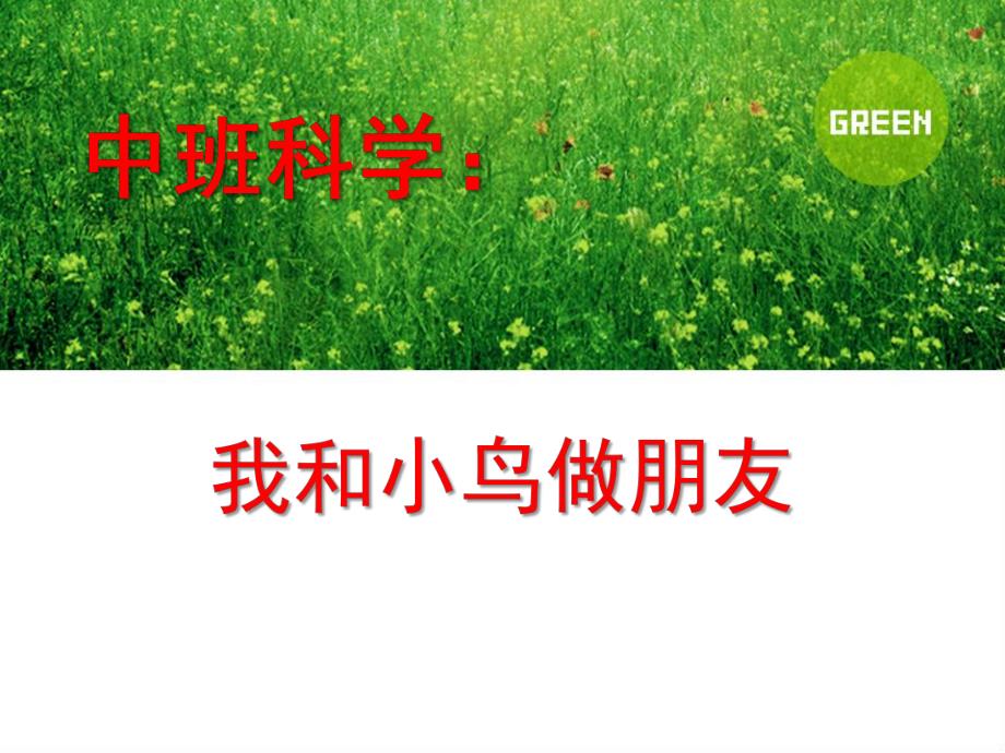 中班科学《我和小鸟做朋友》PPT课件教案中班科学《我和小鸟做朋友》.pptx_第1页