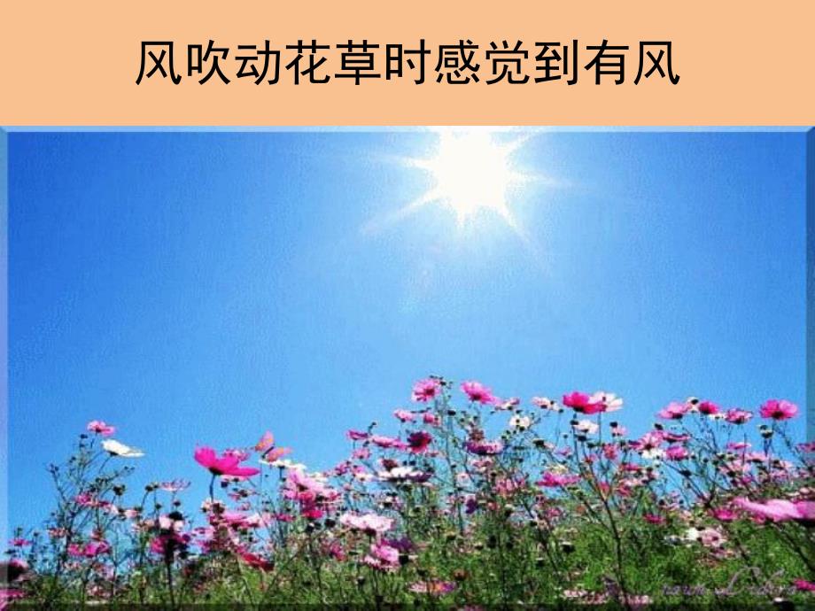 中班科学《调皮的风》PPT课件教案中班科学：调皮的风.pptx_第3页