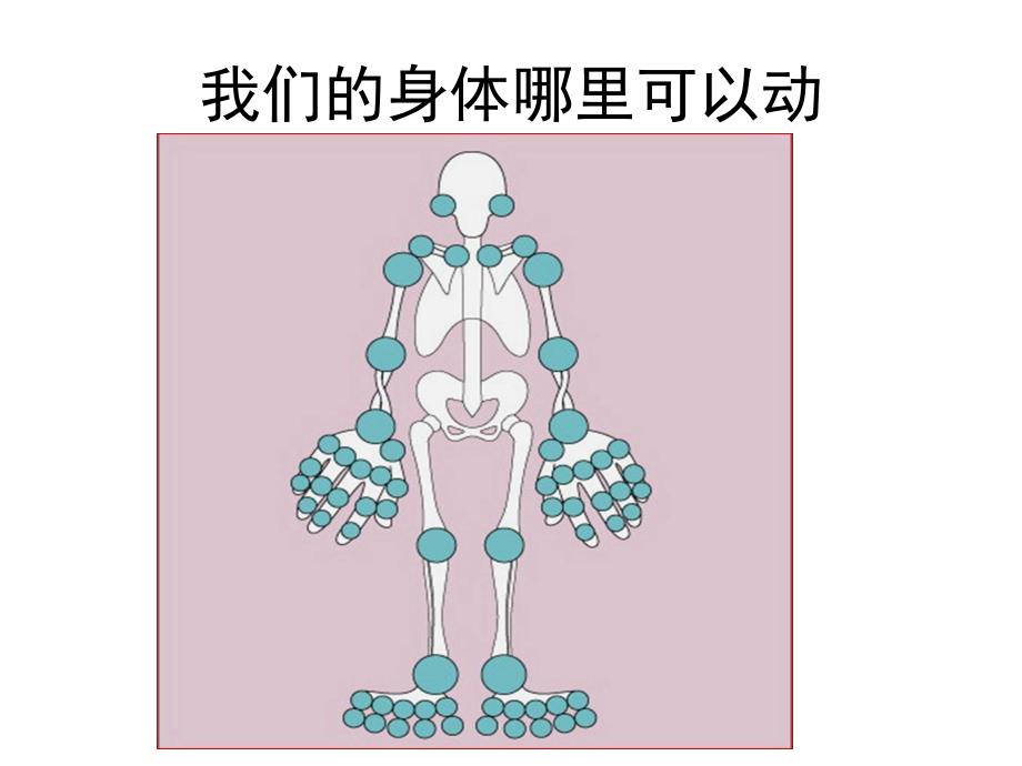 中班健康《动一动扭一扭》PPT课件教案中班健康：动一动.pptx_第2页