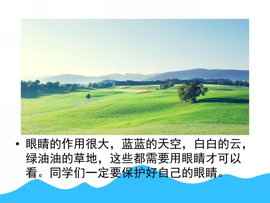 中班健康《眼睛的秘密》PPT课件教案眼睛的秘密.pptx_第3页