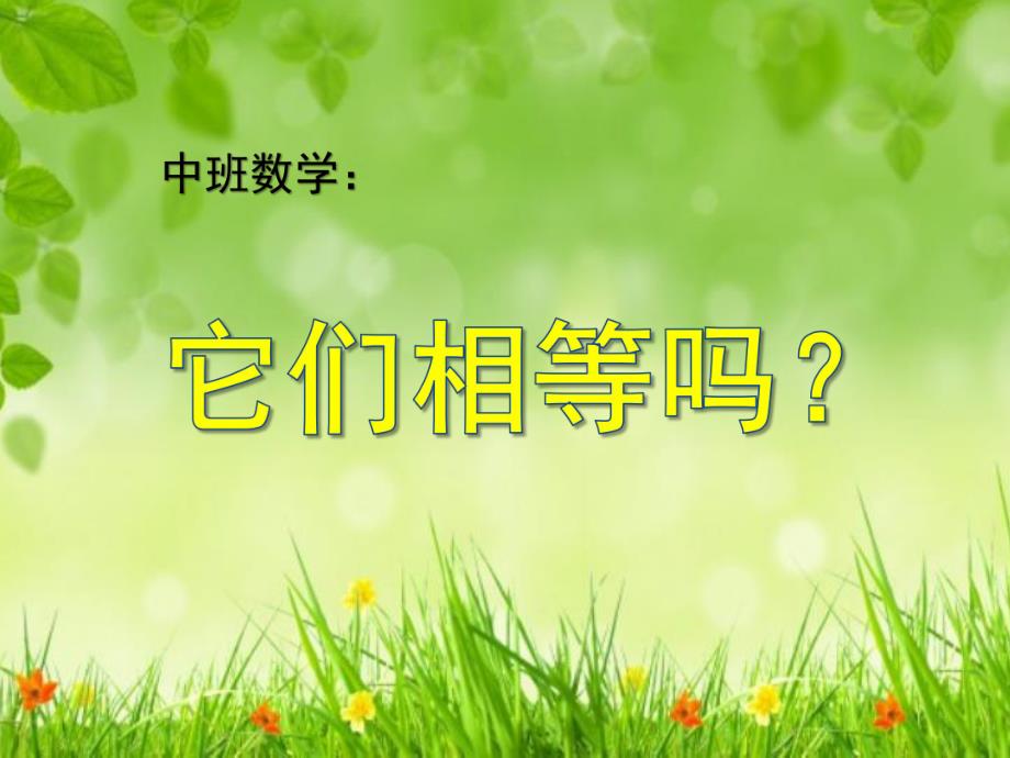 中班数学《它们相等吗？》PPT课件教案.pptx_第1页