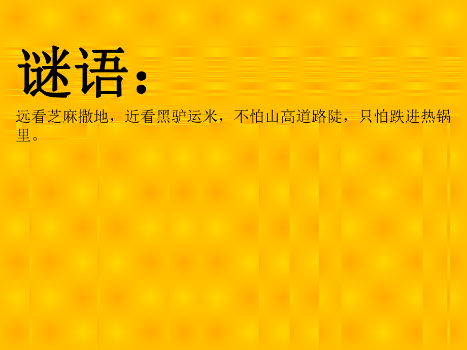 中班科学活动《有趣的蚂蚁》PPT课件教案.pptx_第2页