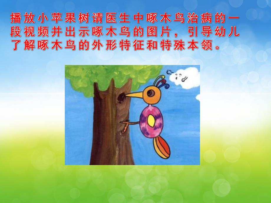 中班美术《啄木鸟》PPT课件教案音乐视频PPT课件.pptx_第3页