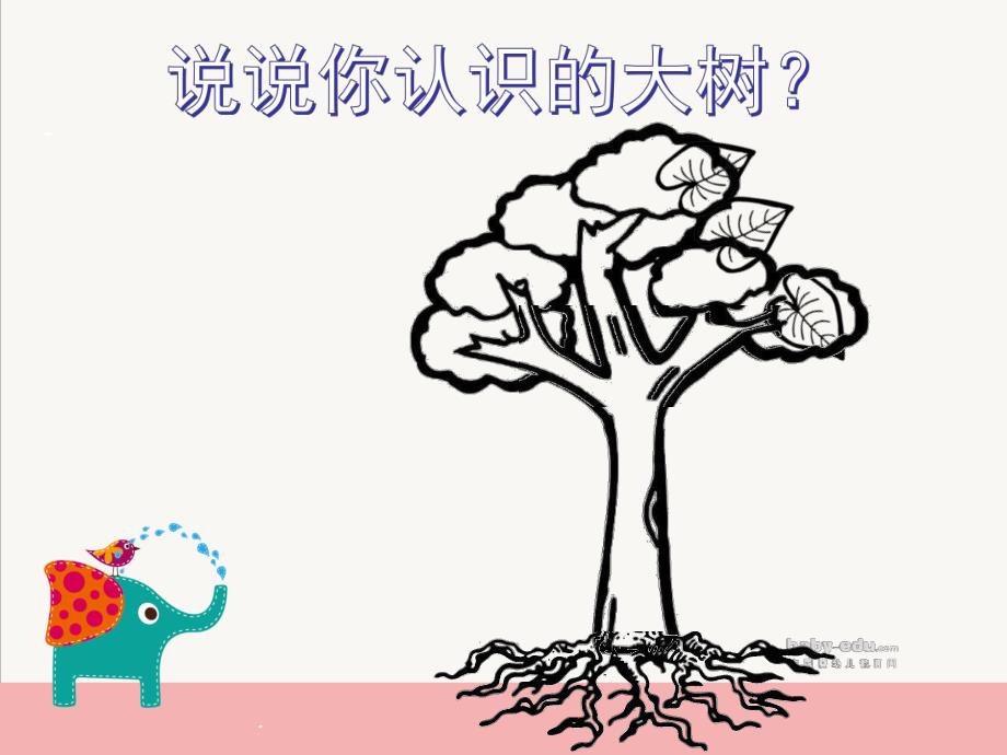 中班科学《我和大树交朋友》PPT课件我和大树交朋友.pptx_第2页