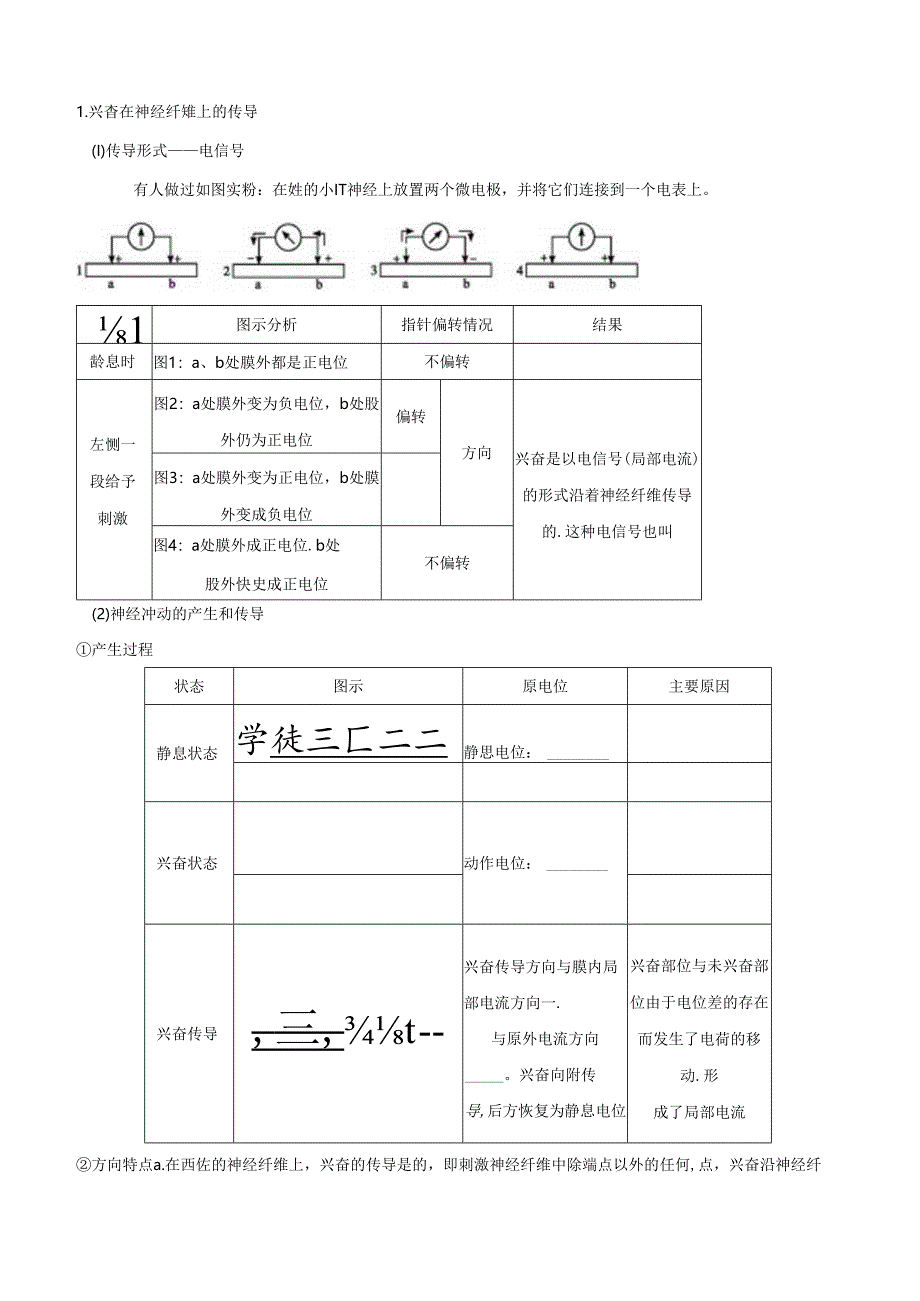 神经冲动的产生和传导讲义.docx_第2页