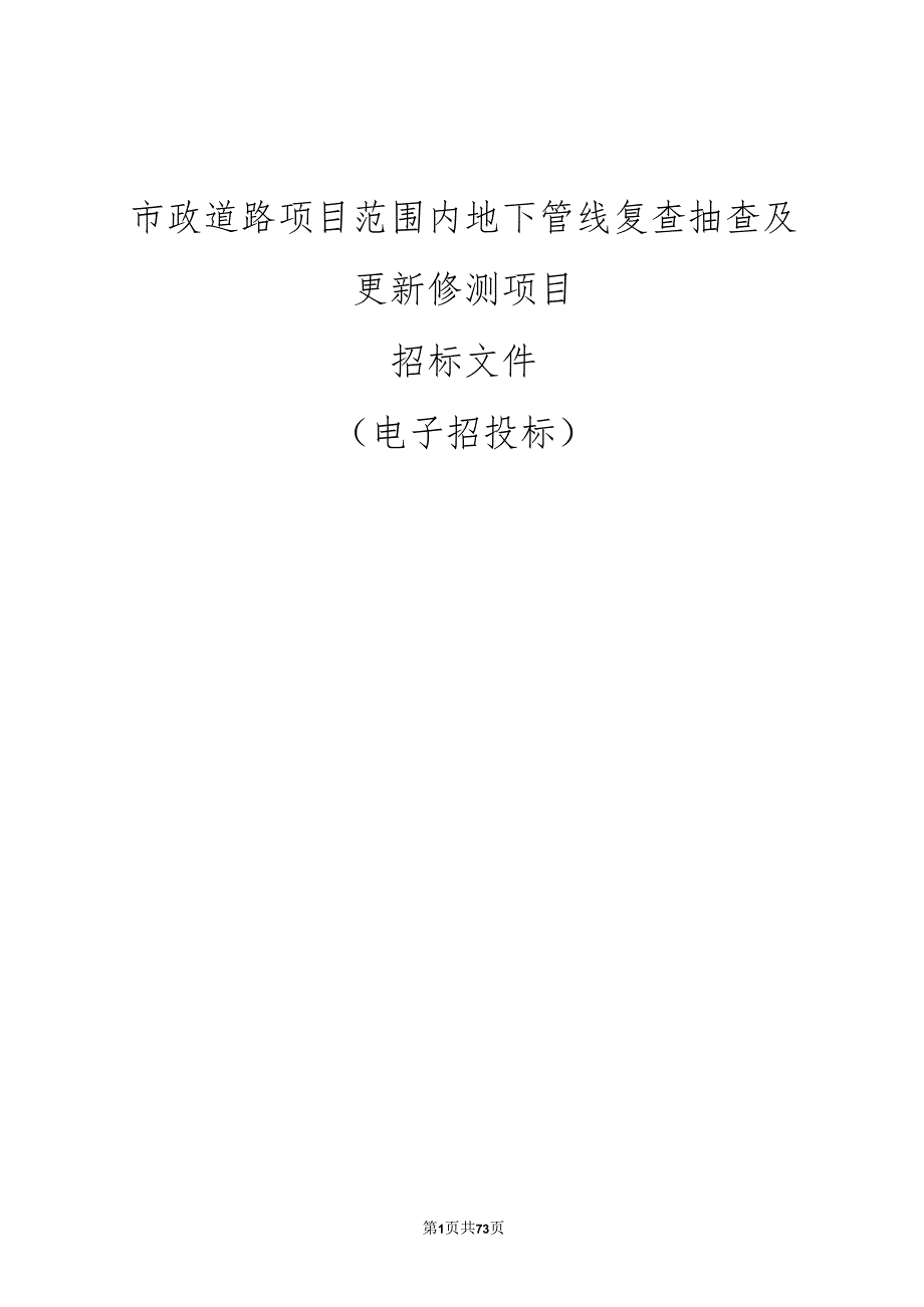 市政道路项目范围内地下管线复查抽查及更新修测项目招标文件.docx_第1页