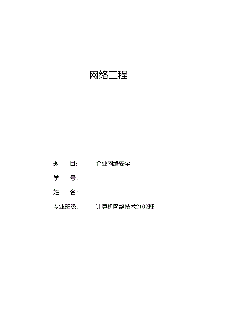 企业网络安全.docx_第1页