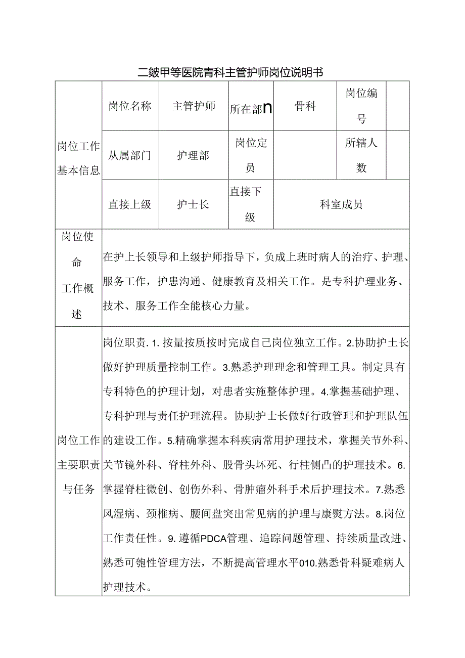 二级甲等医院骨科主管护师岗位说明书.docx_第1页