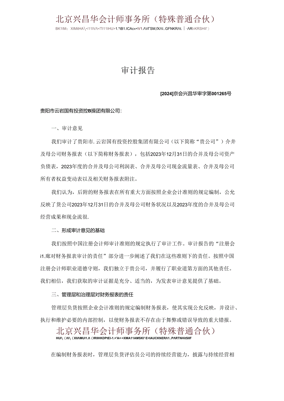 贵阳市云岩国有投资控股集团有限公司2023年度财务报表审计报告.docx_第3页