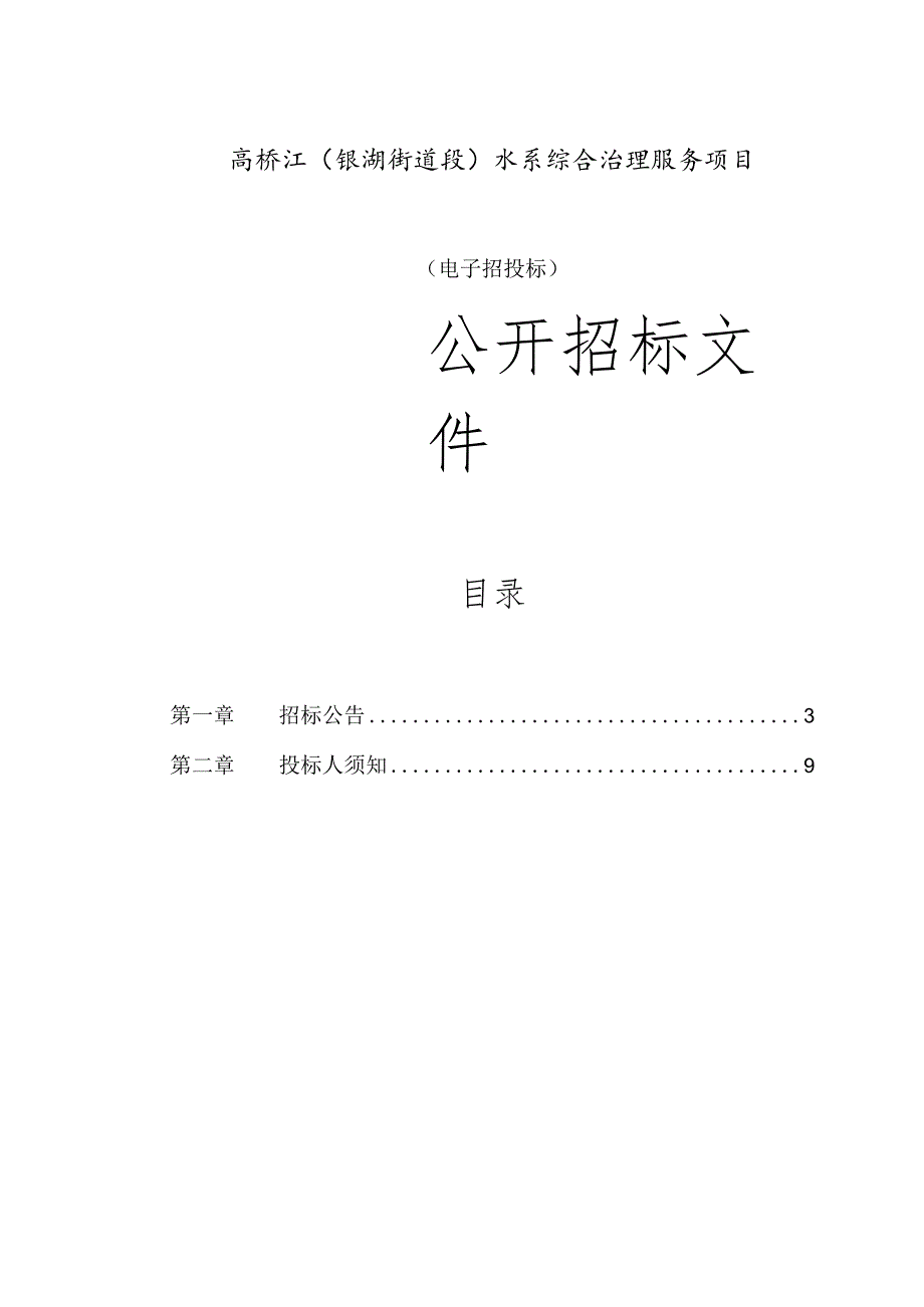 高桥江（银湖街道段）水系综合治理服务项目招标文件.docx_第1页