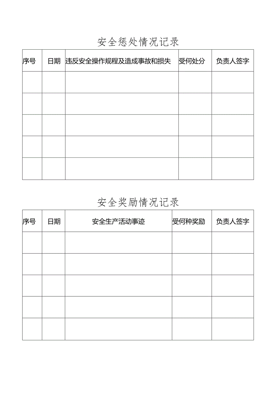 安全惩处情况记录.docx_第1页