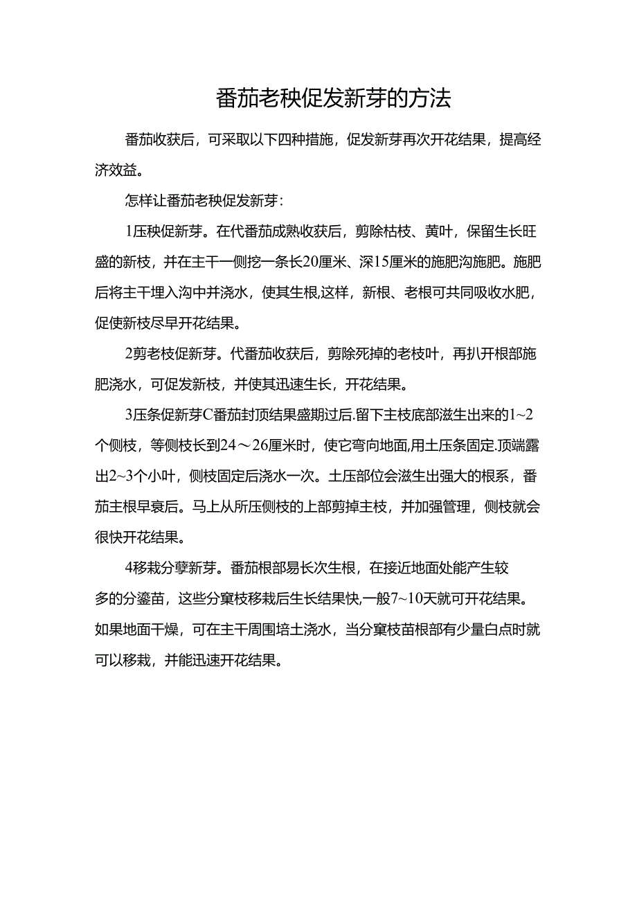 番茄老秧促发新芽的方法.docx_第1页