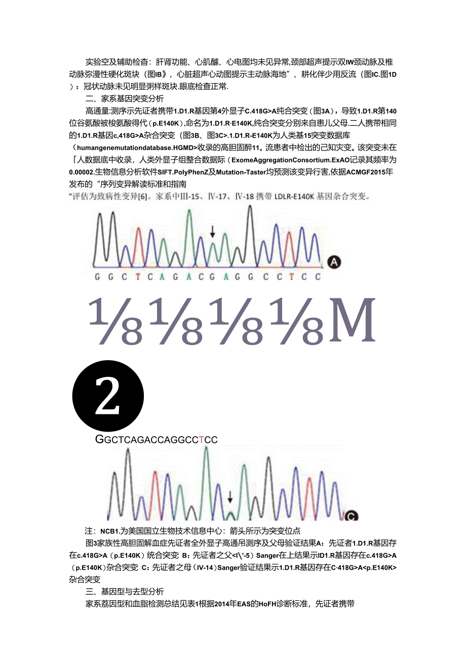 纯合型家族性高胆固醇血症家系基因型与表型分析.docx_第3页