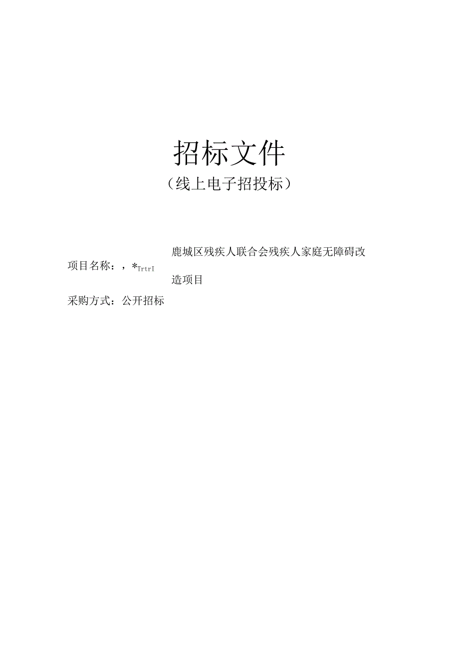 残疾人家庭无障碍改造项目招标文件.docx_第1页