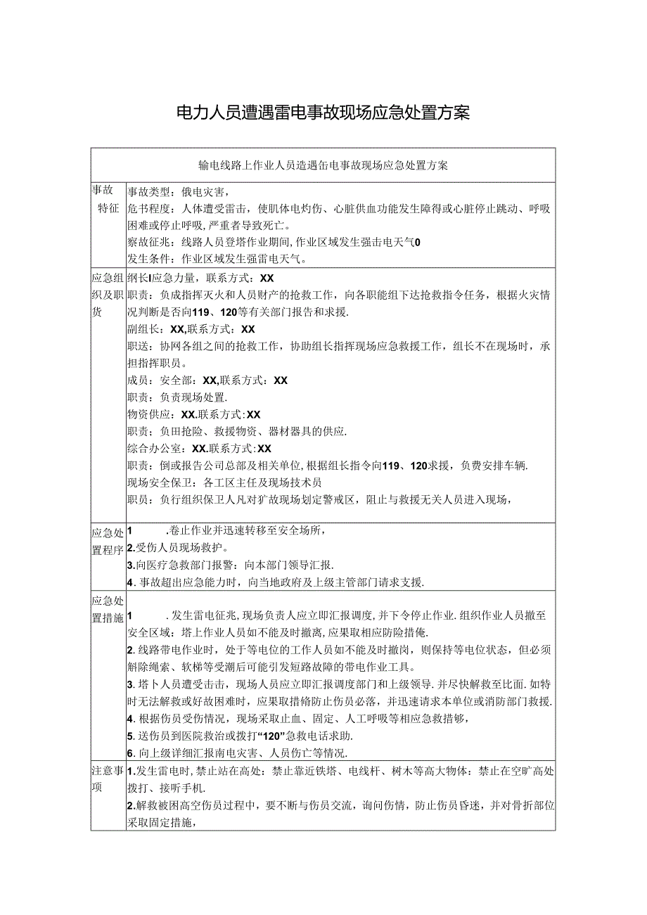 电力人员遭遇雷电事故现场应急处置方案.docx_第1页