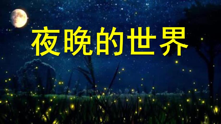 大班科学《夜晚的世界》PPT课件教案大班科学-夜晚的世界.pptx_第1页