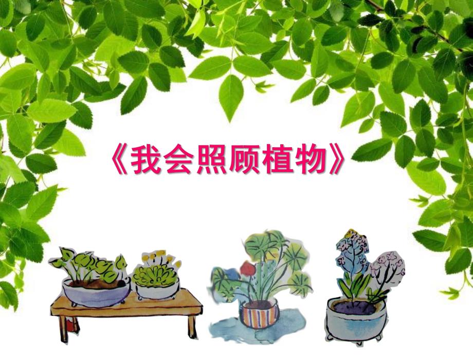 大班科学《我会照顾植物》PPT课件幼儿园大班课件《我会照顾植物》.pptx_第1页