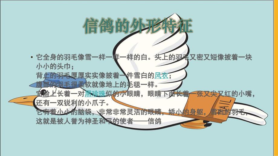 大班社会《爱鸟聚会》PPT课件教案微课件.pptx_第2页