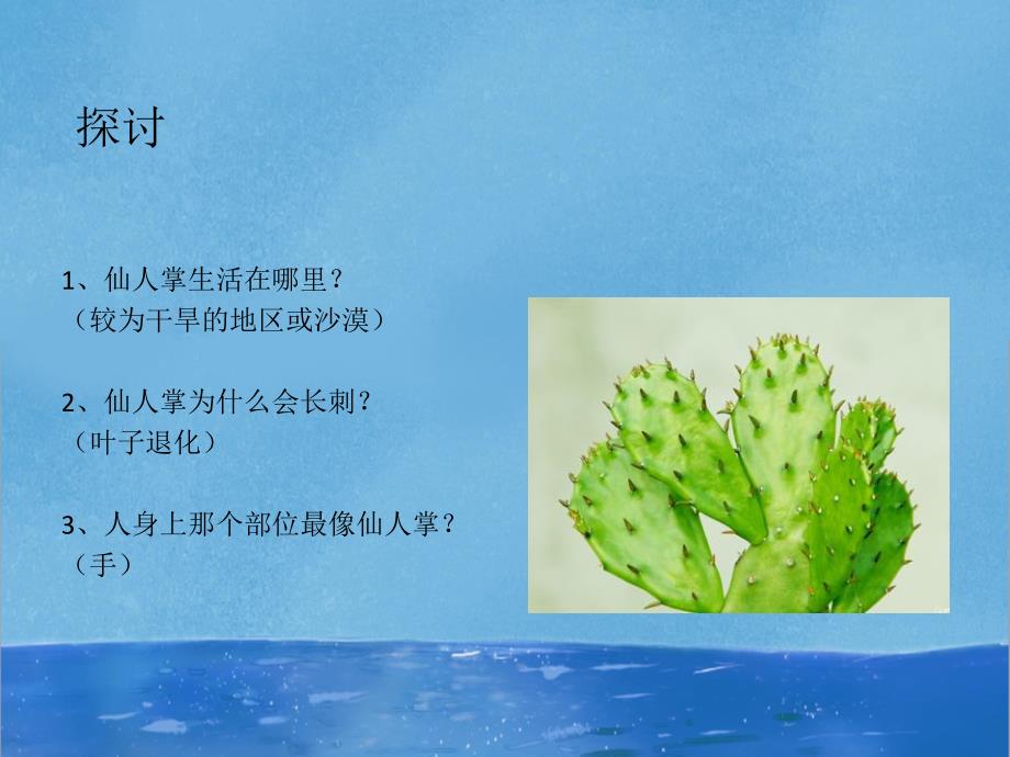 小班科学《可爱的仙人掌》PPT课件3可爱的仙人掌(小班.pptx_第3页