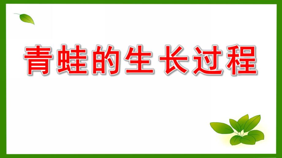 大班科学课件《青蛙的生长》PPT课件教案青蛙的生长过程.pptx_第1页