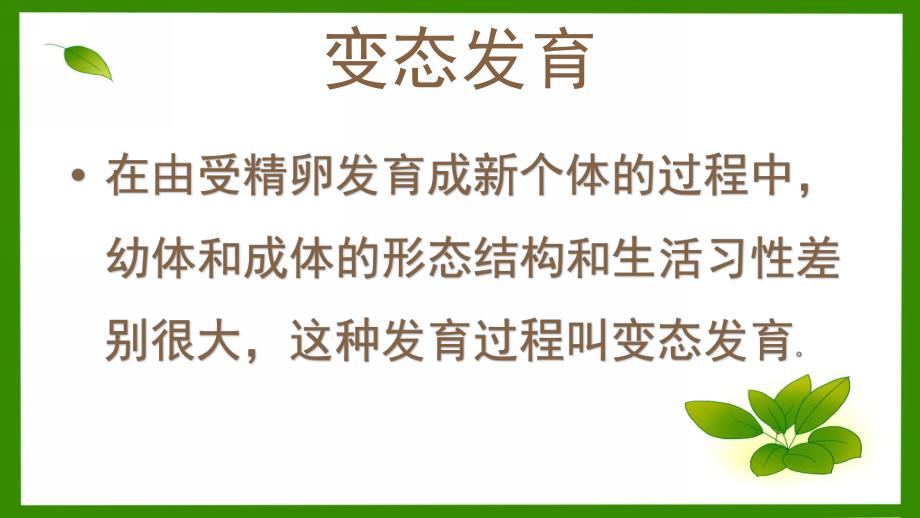 大班科学课件《青蛙的生长》PPT课件教案青蛙的生长过程.pptx_第3页