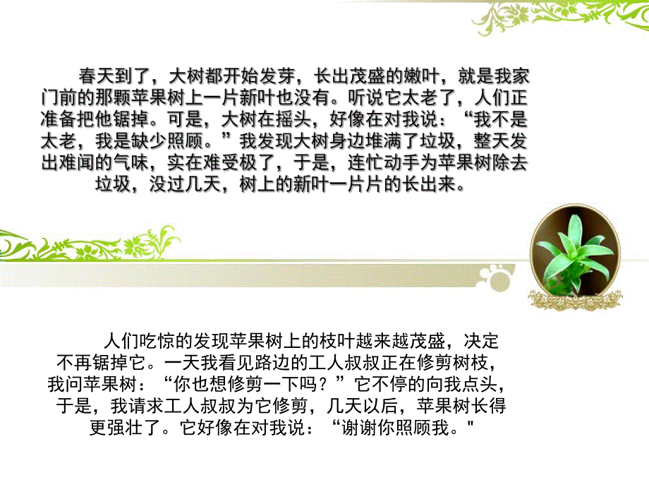 大班主题《我家门前的苹果树》PPT课件我家门前的苹果树PPT.pptx_第2页