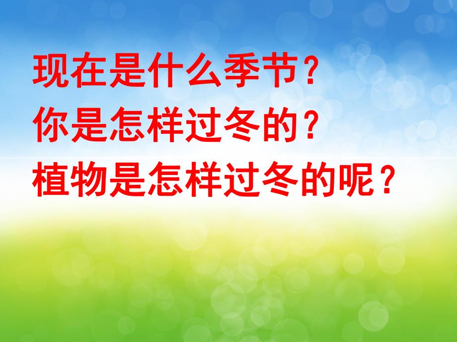 大班科学《植物怎样过冬》PPT课件教案PPT课件.pptx_第3页