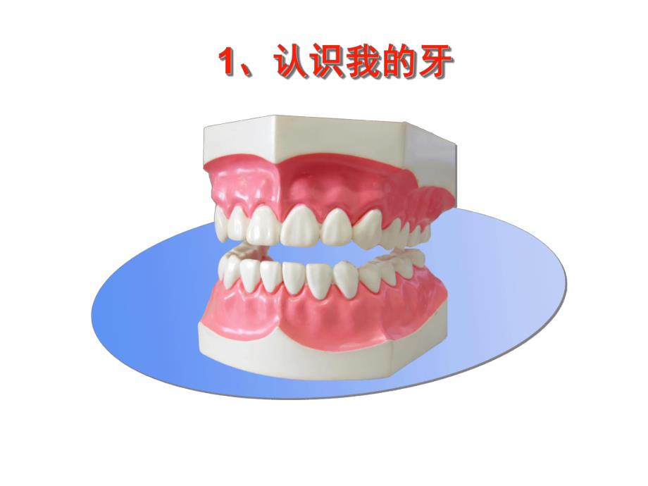 大班健康家长助教《保护牙齿》PPT课件教案PPT课件.pptx_第3页