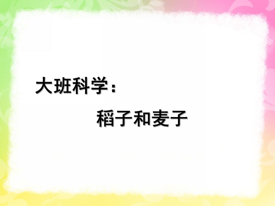 大班科学《稻子和麦子》PPT课件教案稻子和麦子.pptx_第1页