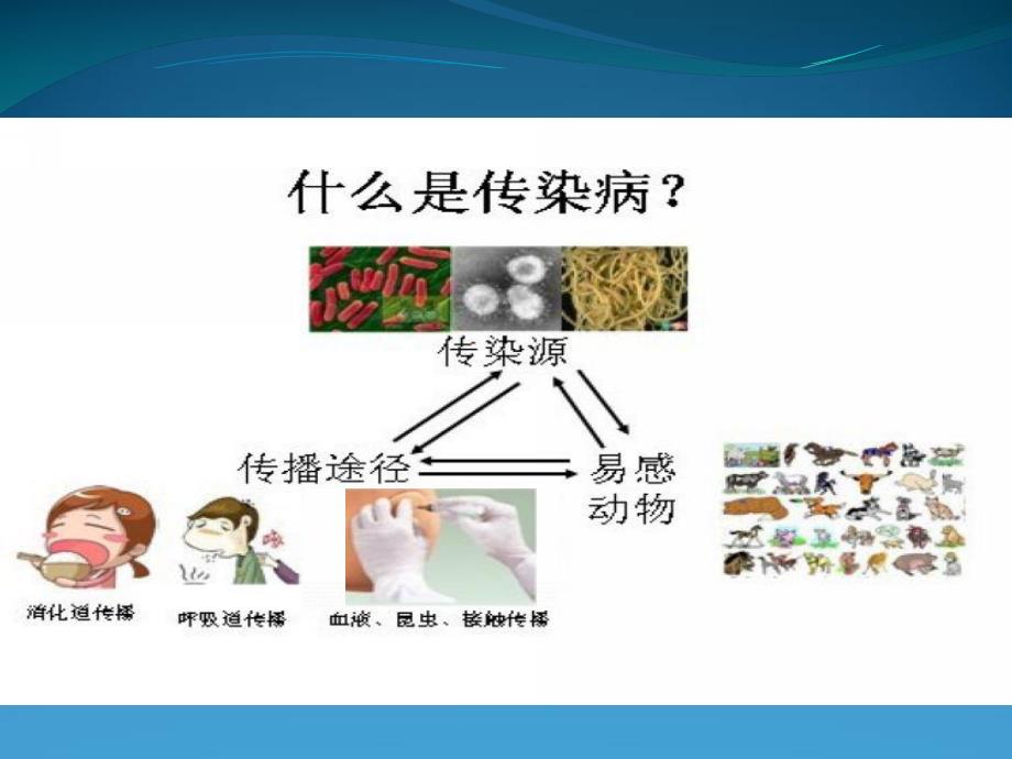 大班安全《预防疾病》PPT课件教案大班-安全：《预防疾病》.pptx_第2页