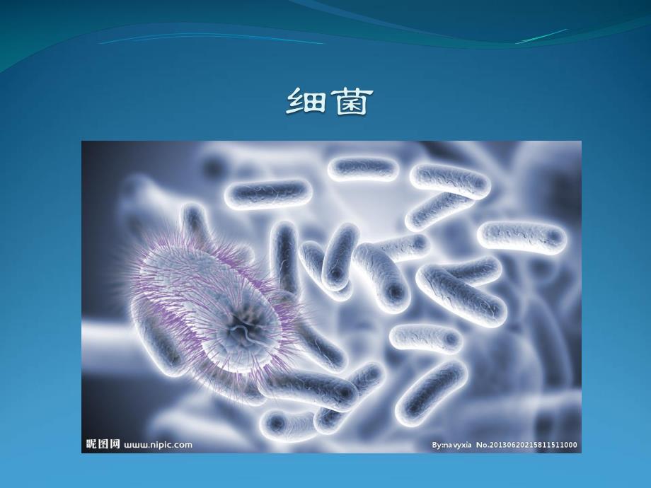 大班安全《预防疾病》PPT课件教案大班-安全：《预防疾病》.pptx_第3页