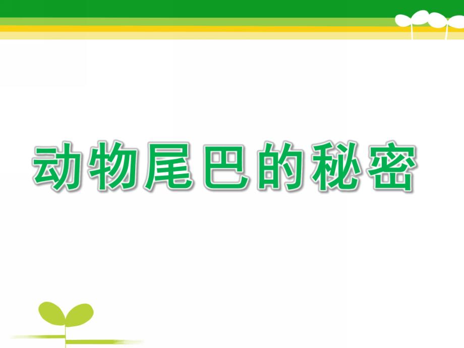 大班科学《动物尾巴的秘密》PPT课件教案动物尾巴的秘密.pptx_第1页