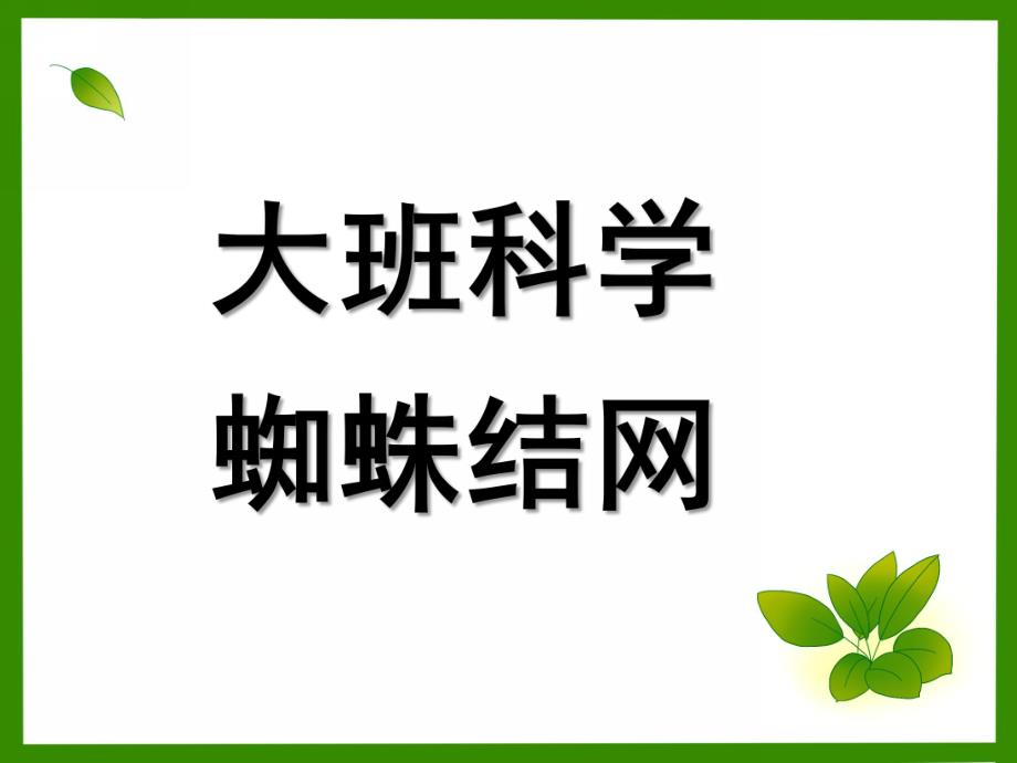 大班科学《蜘蛛结网》PPT课件大班科学：蜘蛛结网.pptx_第1页