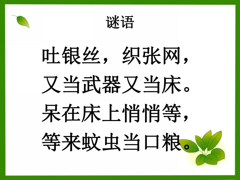 大班科学《蜘蛛结网》PPT课件大班科学：蜘蛛结网.pptx_第2页