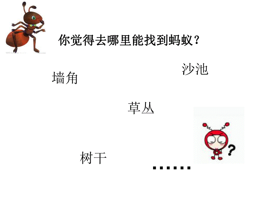 大班科学活动《寻找蚂蚁》PPT课件大班科学蚂蚁.pptx_第3页