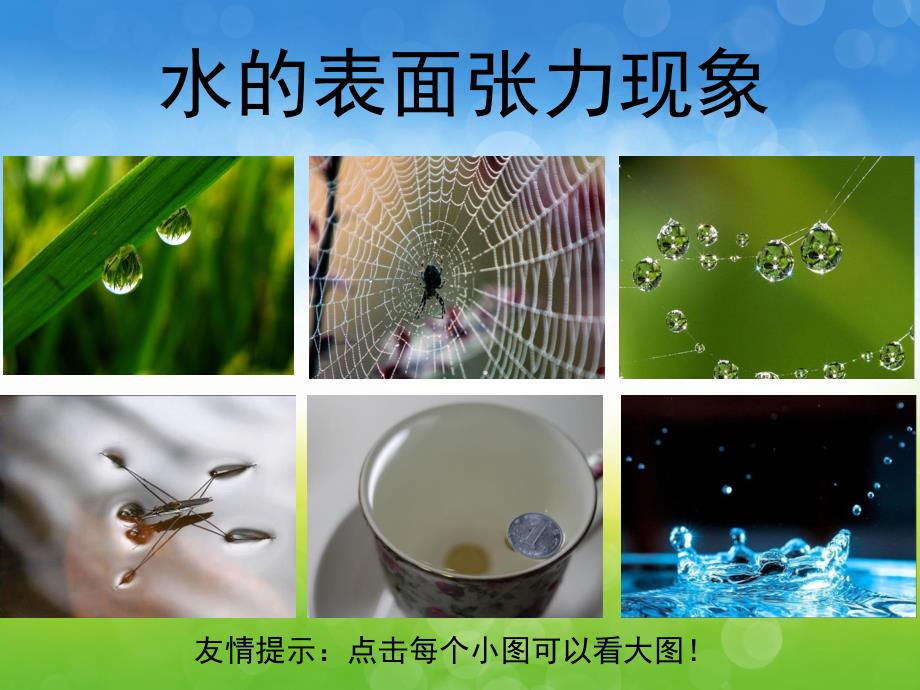 大班科学《水的表面张力》PPT课件教案PPT课件.pptx_第3页