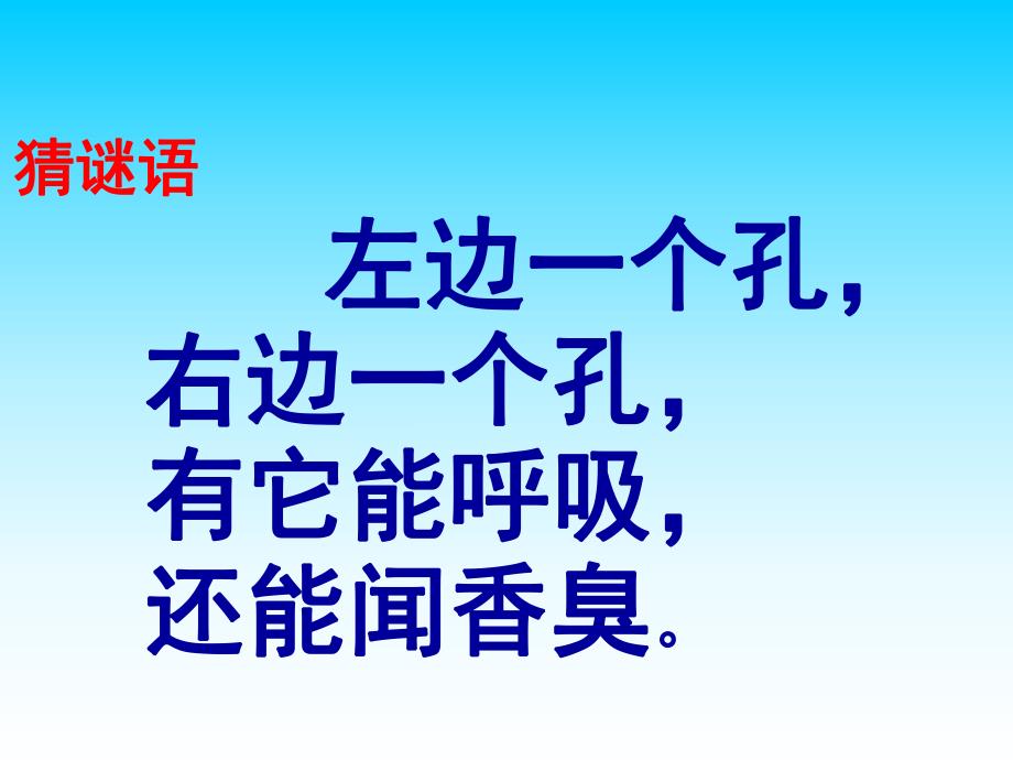 大班《鼻子的故事》PPT课件教案鼻子的故事课件.pptx_第3页