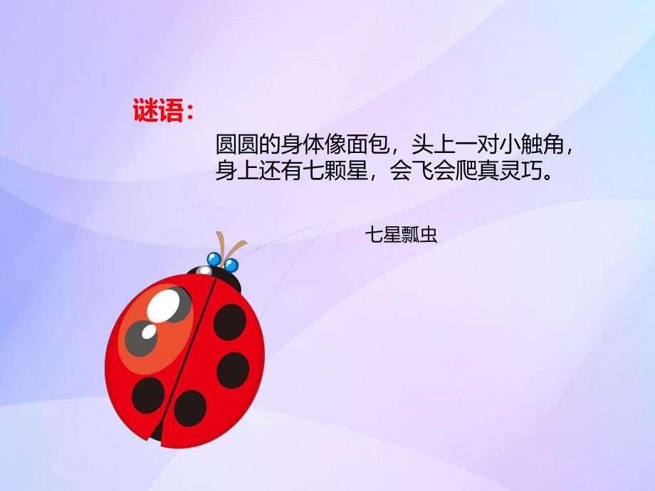 中班美术《小瓢虫》PPT课件教案PPT课件.ppt_第3页