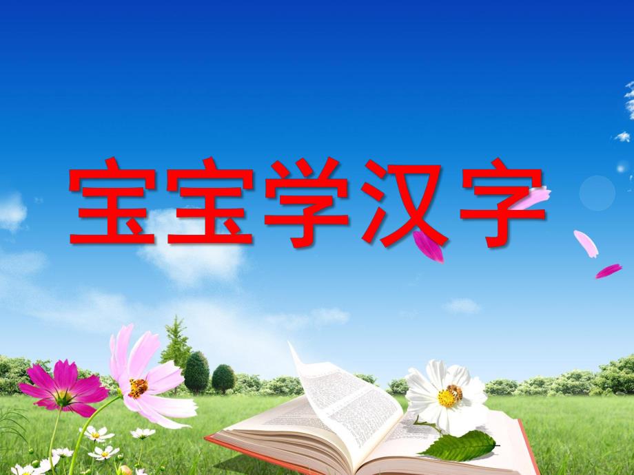 幼儿学汉字PPT课件ppt课件.pptx_第1页