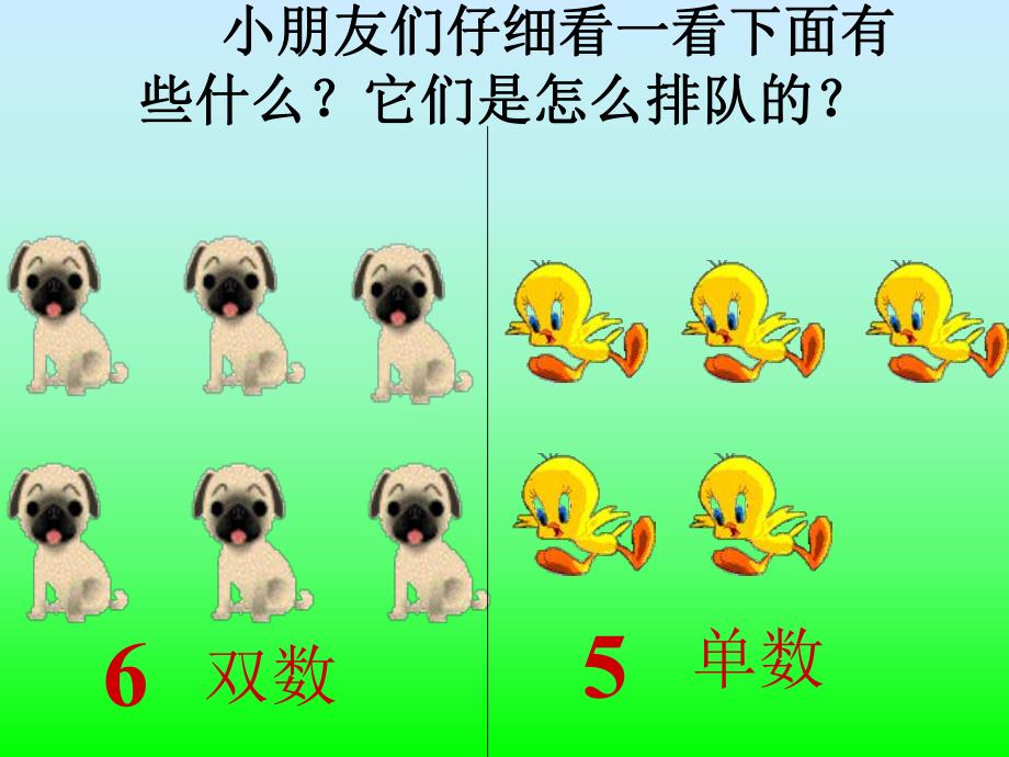 中班数学《认识单数、双数》PPT课件中班数学《认识单数、双数》PPT课件.ppt_第3页