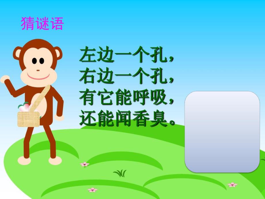 中班安全《保护鼻子》PPT课件教案PPT课件.ppt_第3页